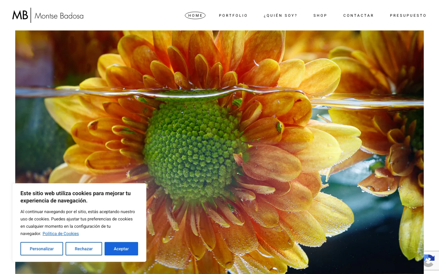 Sito montsebadosa.com