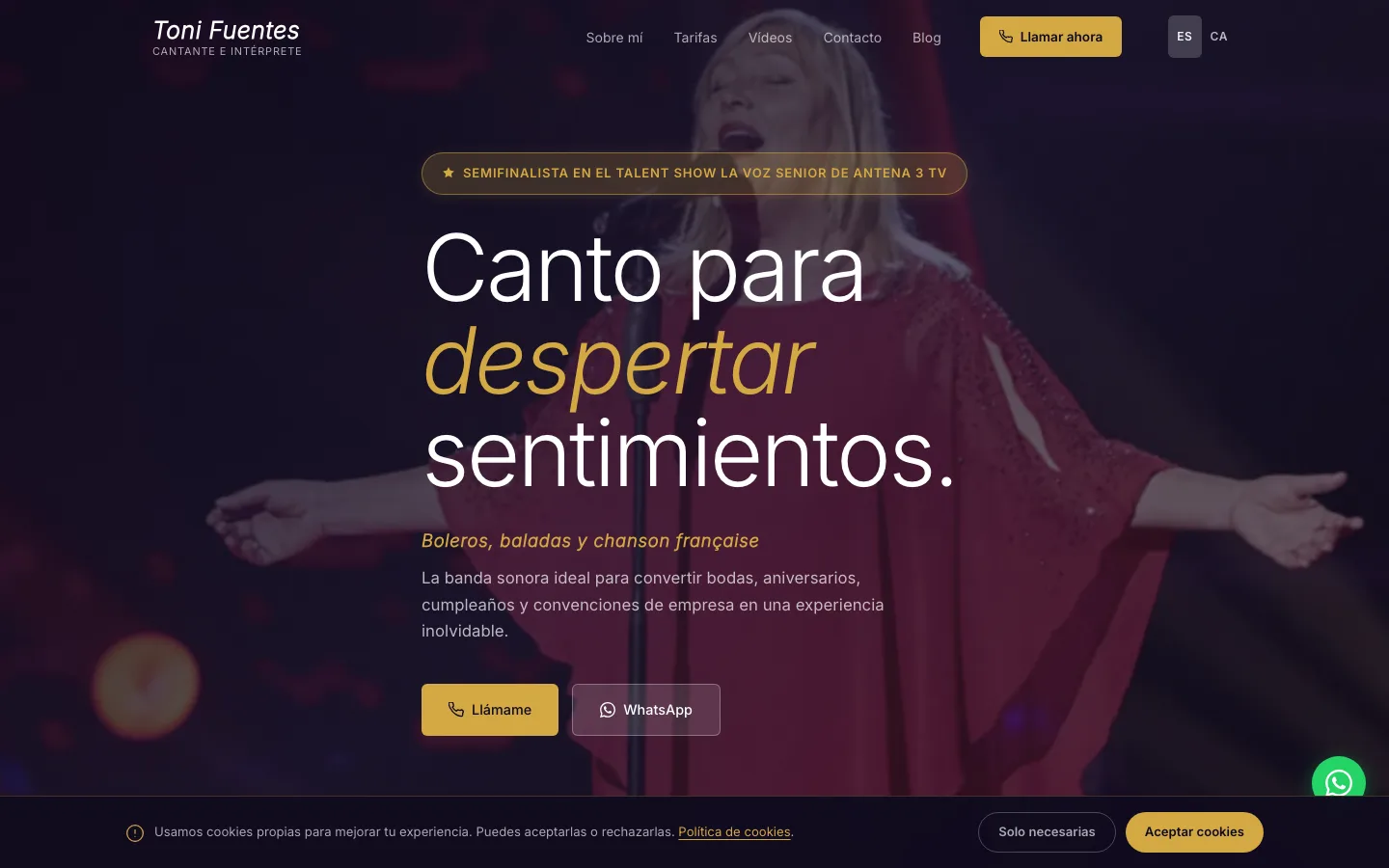 Sito tonifuentescantante.com